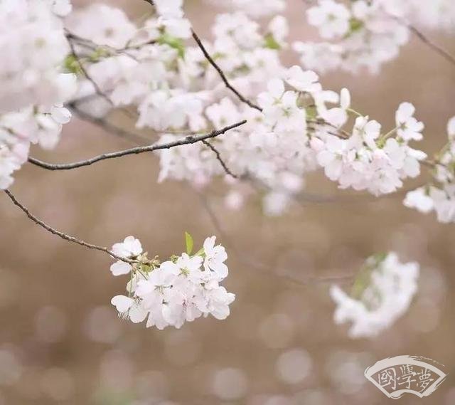 王陽(yáng)明十句話(huà)：人生問(wèn)題的靈丹妙藥