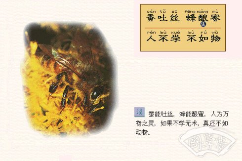 三字經(jīng)