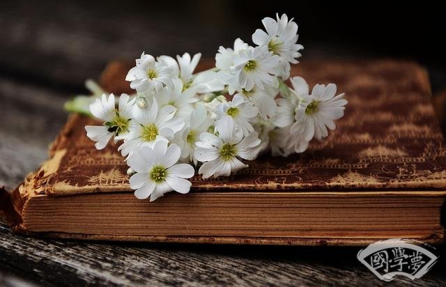 《菜根譚》：讀書多也未必是好事？！