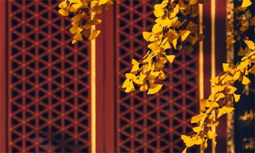 生肖屬蛇人2023年農(nóng)歷二月搬家好嗎,喬遷最吉利的日子