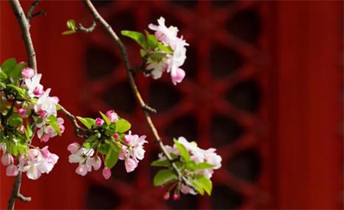 2023年2月14日情人節(jié)動土開工好不好 是蓋房的好日子嗎