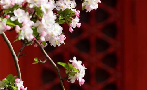 2023年2月12日是建房動(dòng)工動(dòng)土黃道吉日嗎