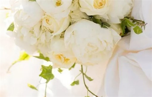 2023年2月8日可以結婚登記嗎 宜結連理去領證嗎