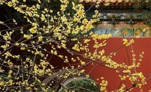 2023年2月19日雨水可以出遠門嗎 是出行的好日子嗎