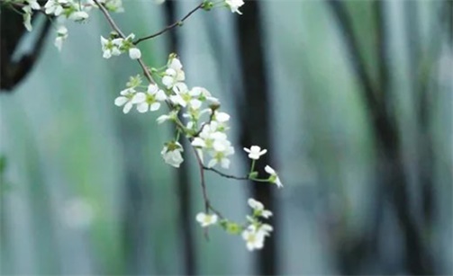 2023年2月16日宜出行嗎 是出門的最佳吉日期嗎