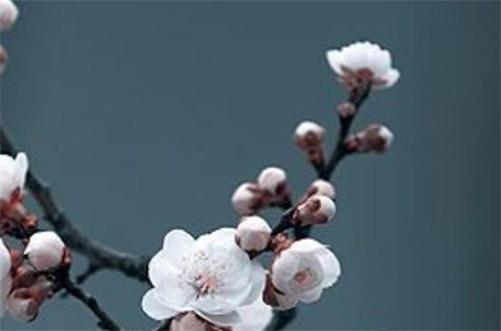 2023年農歷十月十三是店鋪開張黃道吉日嗎  開業好不好