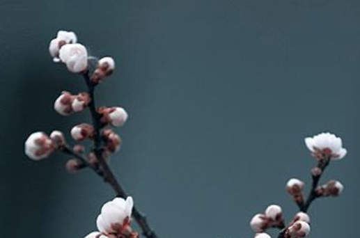 2024年1月22日可以出遠(yuǎn)門(mén)嗎 是出行的好日子嗎