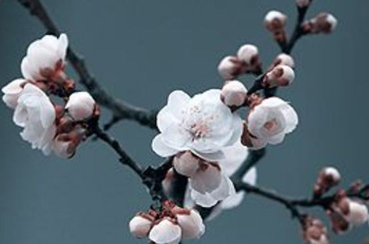 2024年4月21日是出行最吉利日子嗎 外出好不好
