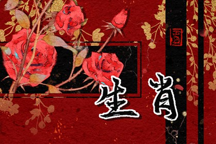 跟龍配的生肖 和生肖雞稱之為六合生肖