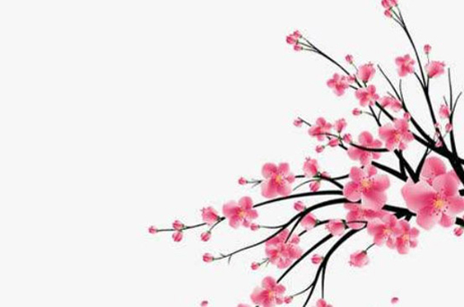 2024年農(nóng)歷二月二十一結(jié)婚吉日查詢 適合結(jié)婚辦喜事嗎